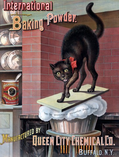 Czarny kot obudzony przez rosnące ciasto chlebowe, ok. 1885 (chromolitografia) autorstwa American School