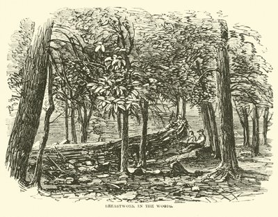 Napierśnik w lesie, lipiec 1863 r. autorstwa American School