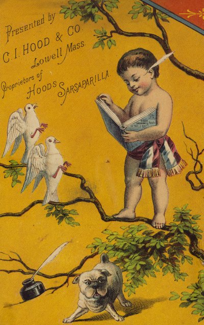 Cherub czyta książkę na drzewie autorstwa American School