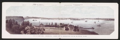 Miasto Nowy Jork, Brooklyn, Jersey City i stacja kwarantanny na Staten Island, ok. 1850 (kolor lito) autorstwa American School