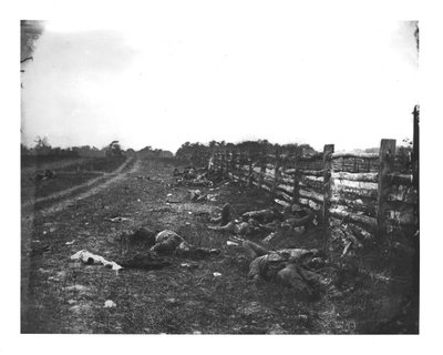 Confederate Dead wzdłuż zachodniej części Hagerstown Pike, bitwa pod Antietam, 19 września 1862 r autorstwa American School