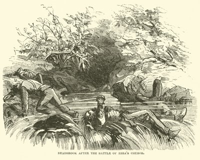 Deadbrook po bitwie pod kościołem Ezras, sierpień 1864 r. autorstwa American School
