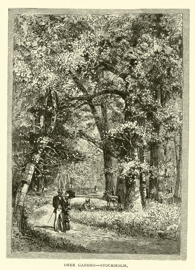 Deer Garden, Sztokholm autorstwa American School