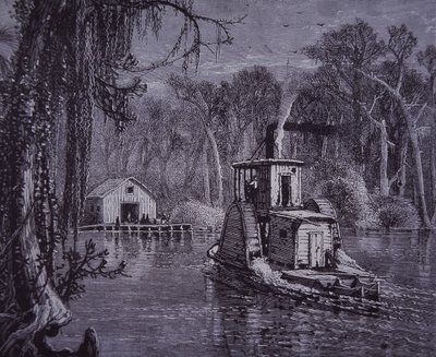 Scena Everglades na Florydzie autorstwa American School
