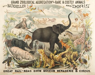 Wielka Zoologiczna Agregacja Rzadkich i Kosztownych Zwierząt z Batchellerem i Doris (chromolitho) autorstwa American School