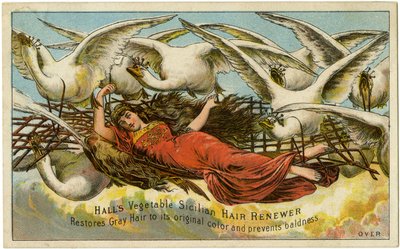 „Halls“ augalinis sicilietiškas plaukų atnaujinimas, atkuria žilus plaukus į pradinę spalvą ir apsaugo nuo nuplikimo, Recto (spalva lito [prekybos kortelė]) autorstwa American School