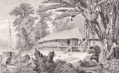 Dom bogatego kolekcjonera indyjskiej gumy, z „Rzek Amazonki i Madery”, Franza Kellera, 1874 autorstwa American School