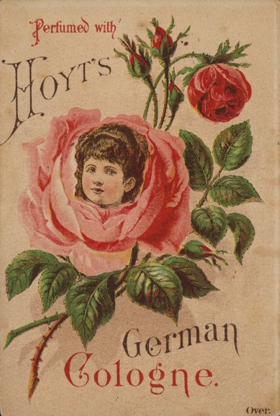 Hoyts Niemiecka Kolonia autorstwa American School