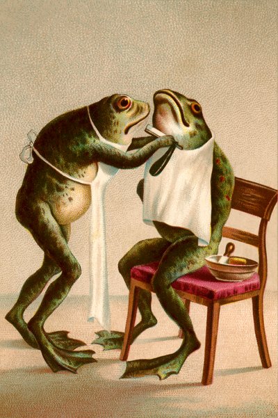 Humorystyczna ilustracja przedstawiająca golącą się żabę autorstwa American School