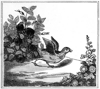 Ilustracja z Niezwykłej historii Kurczaka Małego, 1840 autorstwa American School