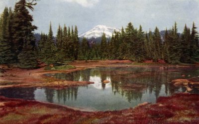 W górach Oregon (kolor lito) autorstwa American School
