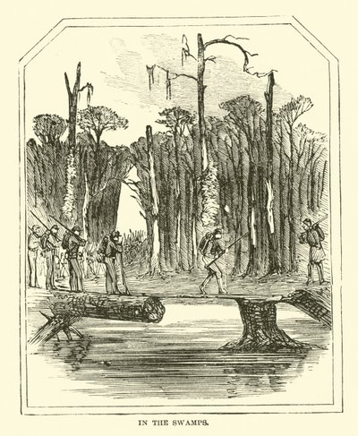 Na bagnach, marzec 1863 autorstwa American School