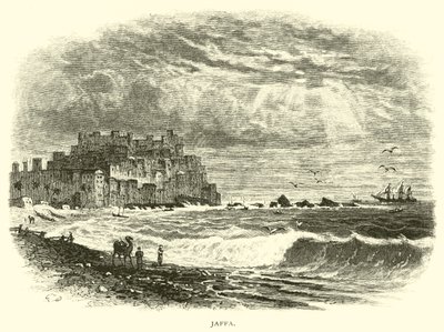 Jaffa autorstwa American School