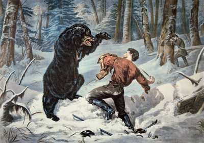 Jedediah Smith (1799-1831) zaatakowany przez niedźwiedzia grizzly, ok. 1861 (kolor lito) autorstwa American School