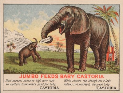 Jumbo karmi małą Castorię, reklama leku Castoria Fletchera, ze słynnym słoniem cyrkowym PT Barnuma autorstwa American School