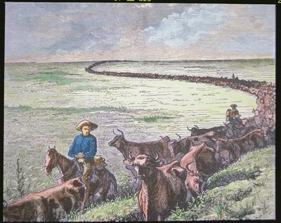 Przewóz bydła Longhorn z Teksasu do Abilene, Kansas, ok. 1870 (kolor lito) autorstwa American School