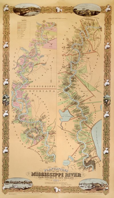 Mapa przedstawiająca plantacje na rzece Missisipi od Natchez do Nowego Orleanu, 1858 autorstwa American School