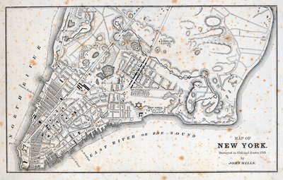 Mapa Nowego Jorku (lito) autorstwa American School