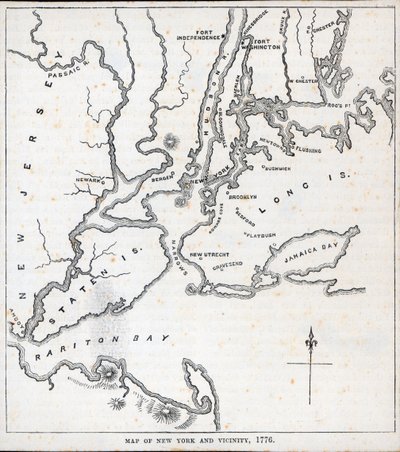 Mapa Nowego Jorku i okolic (lito) autorstwa American School