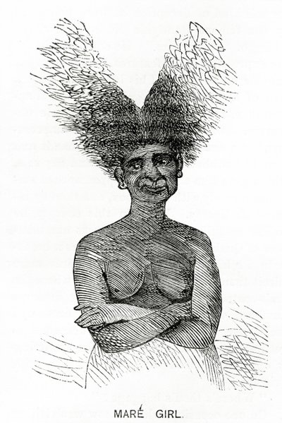 Mare Girl, ilustracja z Appletons Journal, 4 maja 1872 r. autorstwa American School