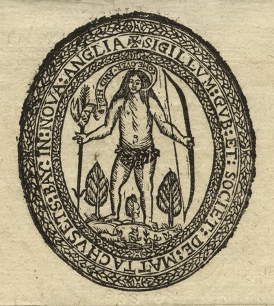 Foka kolonii Zatoki Massachusetts autorstwa American School