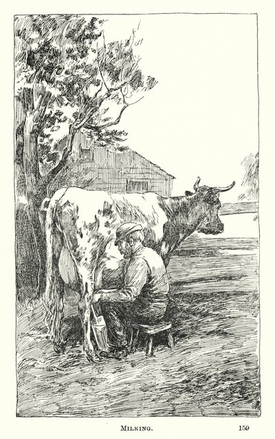 Dojenie (grawerowanie) autorstwa American School