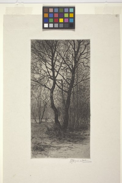 Ogród pałacowy Nymphenburg, niedaleko Monachium (akwaforta) autorstwa American School