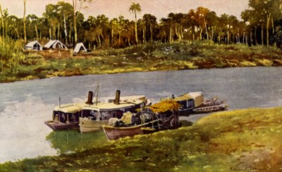 Na Górnej Amazonii (kolor lito) autorstwa American School