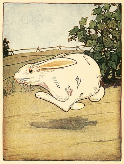 Peter nigdy nie przestał biegać, z The Tale of Peter Rabbit, pub. Litografia kolorowa 1916, 1916. autorstwa American School