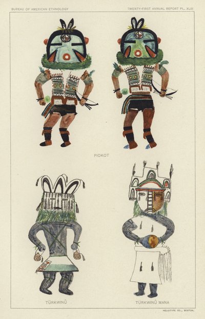 Piokot, Turkwinu, Turkwinu Mana (colour litho) autorstwa American School