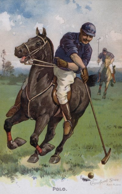 Polo (druk kolorowy) autorstwa American School