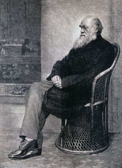 Portret Karola Darwina autorstwa American School