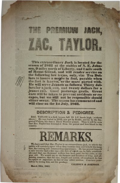 Obrady i przemówienie Konwencji Konstytucyjnej, ok. 19 marca 1861 r. autorstwa American School