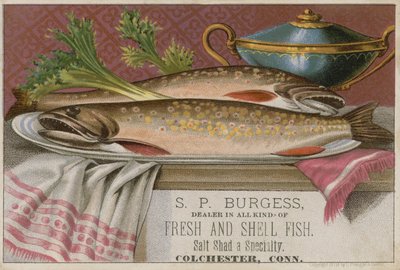 S P Burgess, karta handlowa autorstwa American School