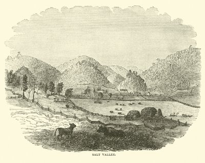 Dolina Solna, grudzień 1864 r. autorstwa American School