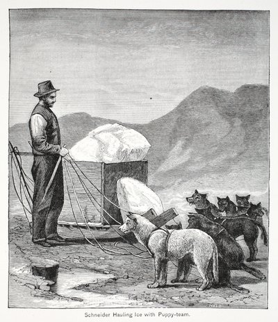 Schneider ciągnący lód z zespołem Puppy, wyd. Londyn 1886 autorstwa American School
