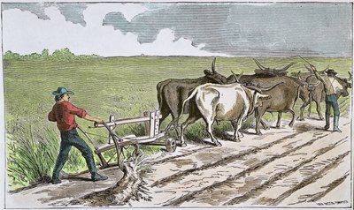 Sodbusters amerykańskiego Zachodu, c.1880 (kolorowe grawerowanie) autorstwa American School