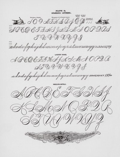 Listy standardowe; Ręka damska; Kapitele na całe ramię (grawerowanie) autorstwa American School