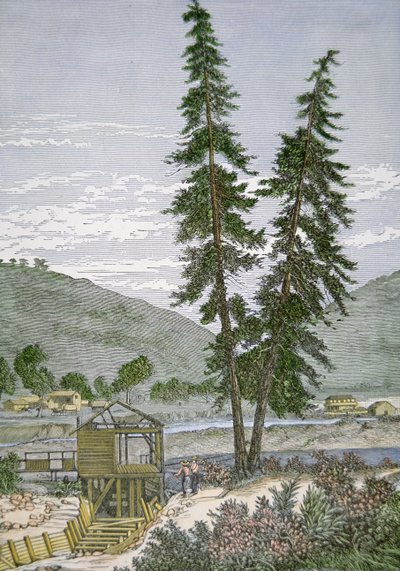 Młyn Sutter autorstwa American School