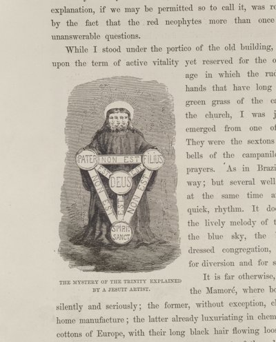 Tajemnica Trójcy wyjaśniona przez artystę jezuitę, z Rzeki Amazonki i Madery, Franz Keller, 1874 autorstwa American School