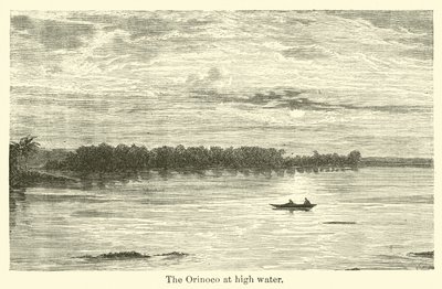 Orinoko przy wysokiej wodzie autorstwa American School