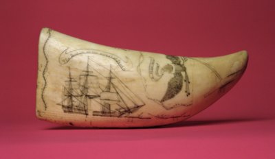 Susan na wybrzeżu Japonii Scrimshaw (ząb) autorstwa American School