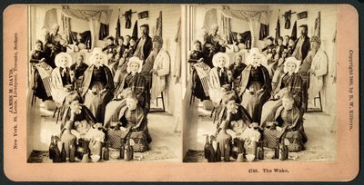 Wake, c.1890 (stereograf) autorstwa American School