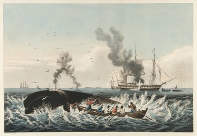 Łowisko wielorybów - Atak na „prawego” wieloryba i „Podcinanie”, wyd. 1860 (kolor lito) autorstwa American School