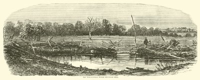 Pole pszenicy, na którym padł Reynolds, lipiec 1863 r. autorstwa American School