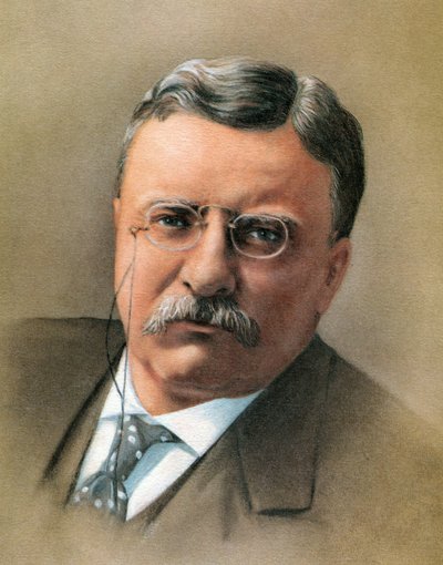 Theodore Roosevelt autorstwa American School