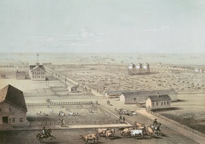 Union Stockyards, Chicago autorstwa American School