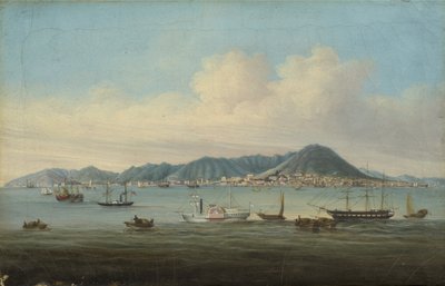 Widok Hongkongu, 1850 autorstwa American School