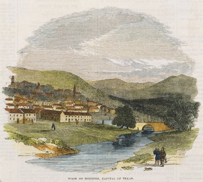 Widok na Houston, stolicę Teksasu, c. 1852 (drewno ręcznie barwione) autorstwa American School