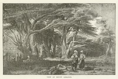 Widok na górę Liban autorstwa American School